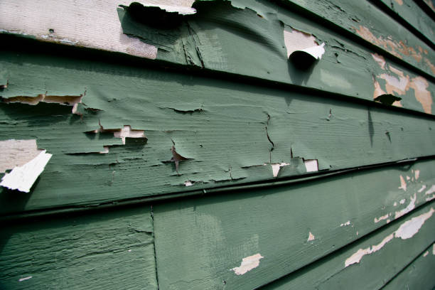Best Demolition Debris Removal  in Iuka, MS
