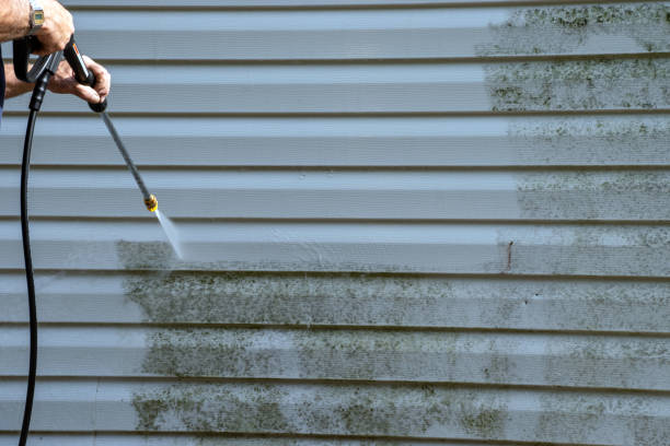 Best Same-Day Junk Removal Services  in Iuka, MS